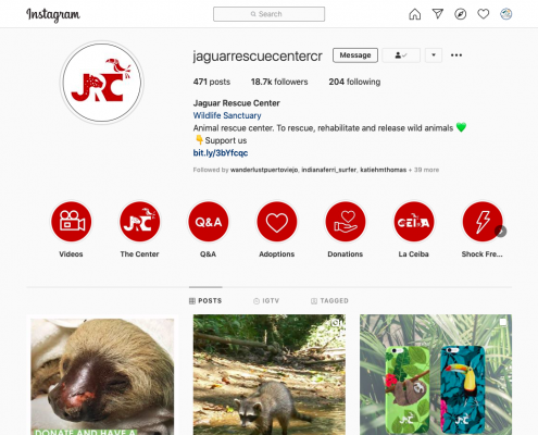 Jaguar Rescue Center Instagram